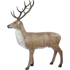 Franzbogen Red Deer